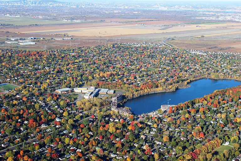 city ​​forest tree lake water autumn