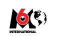 Logo M6 International