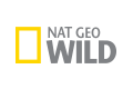 Logo Nat Geo Wild
